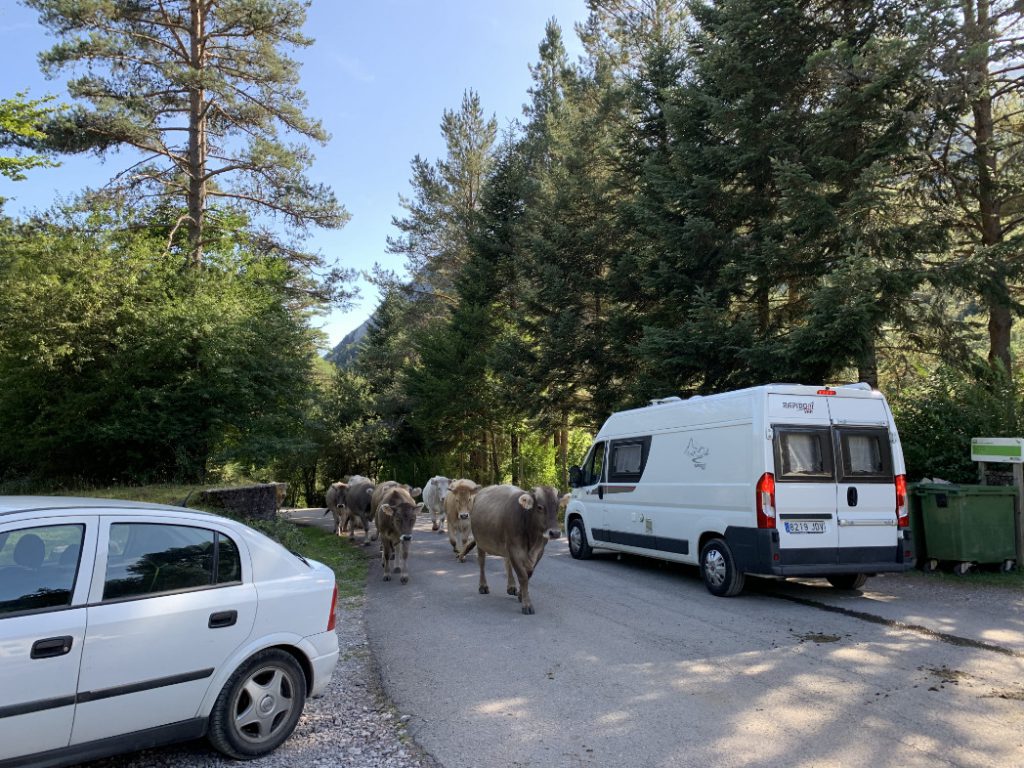 Natur pur Feierabend