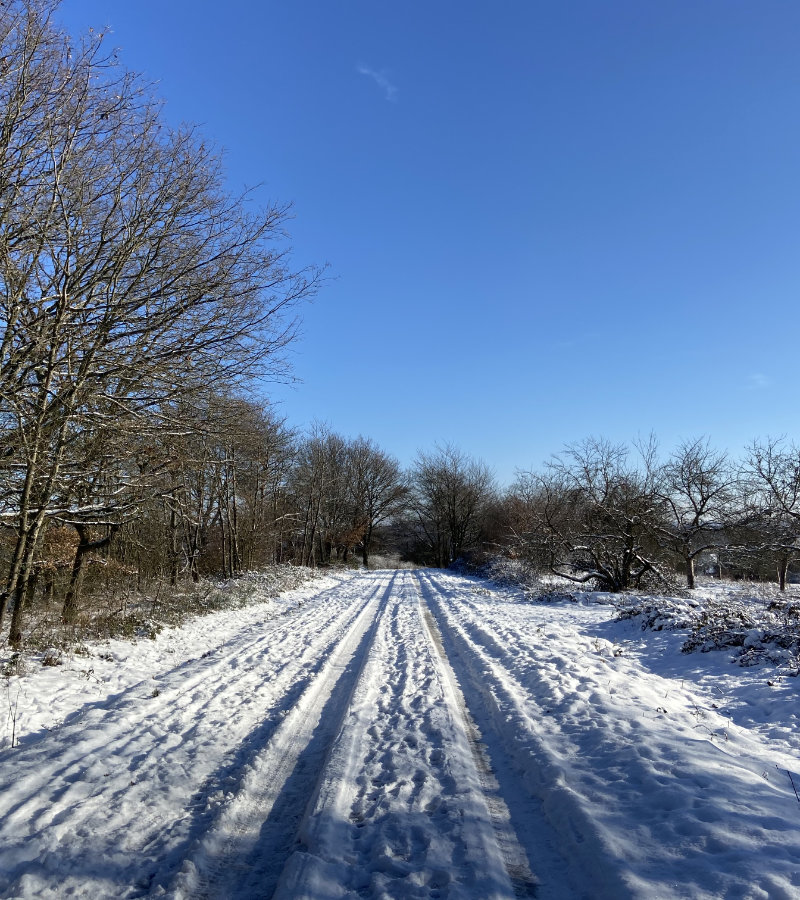 Winter Schneestraße