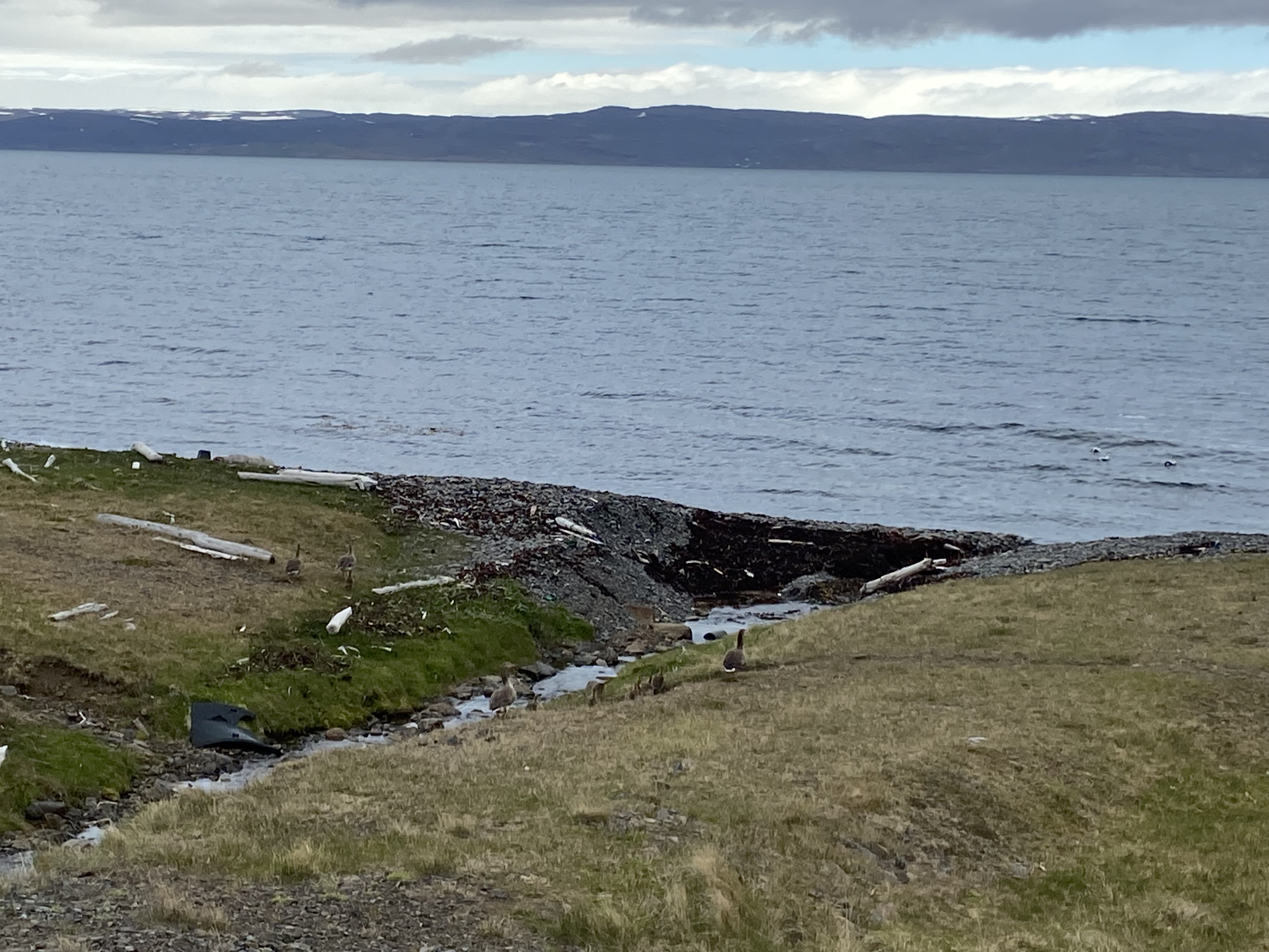 Westfjorde